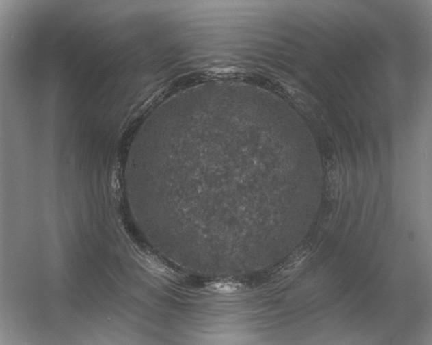 X0000056380654200508261201