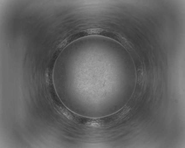 X0000056380655200508261201