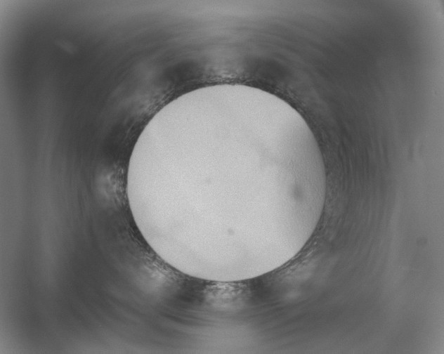 X0000056380672200508261202