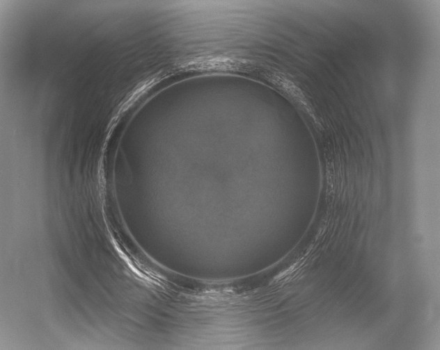 X0000056380674200508261201