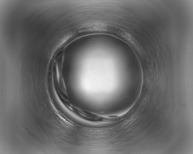 X0000056380677200508261201