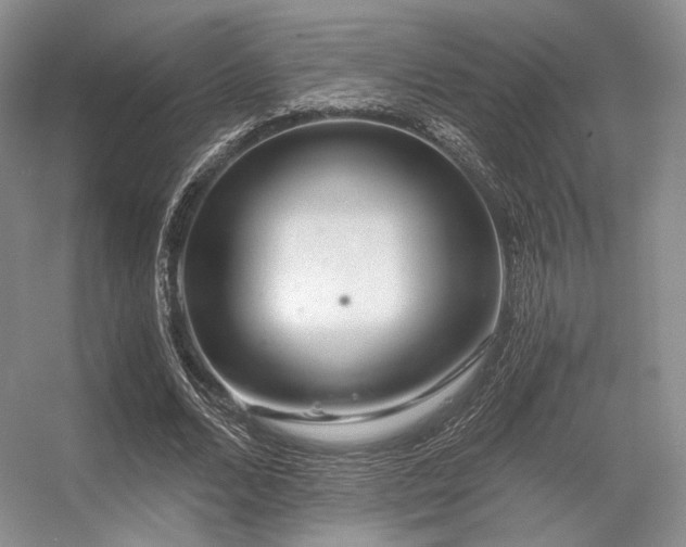 X0000056380680200508261201