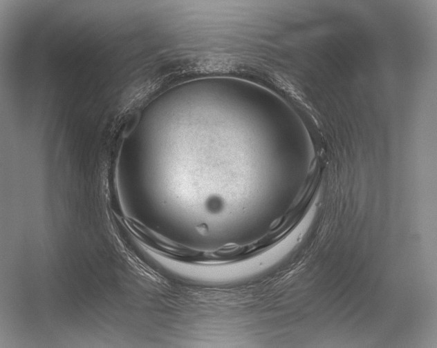 X0000056380681200508261201