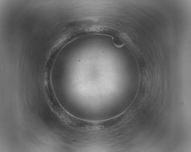 X0000056380683200508261201
