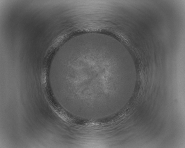 X0000056380687200508261201