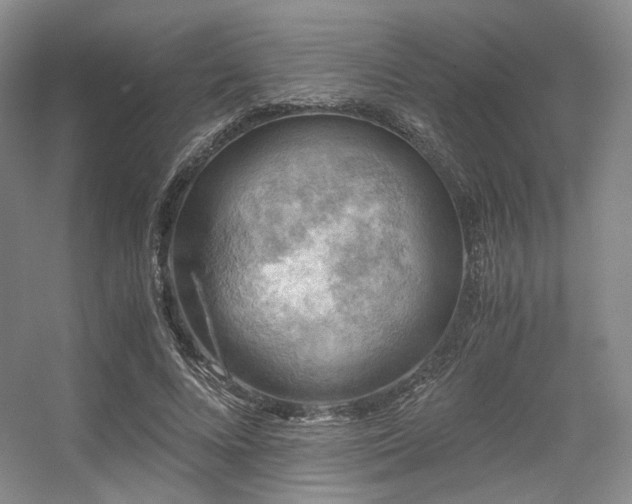 X0000056380688200508261201