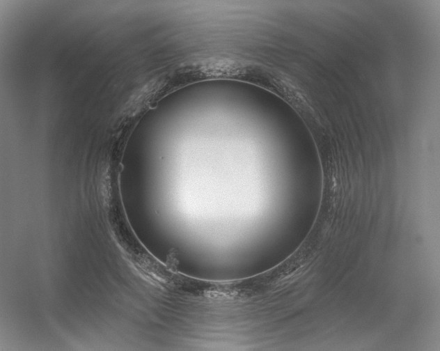 X0000056380690200508261200