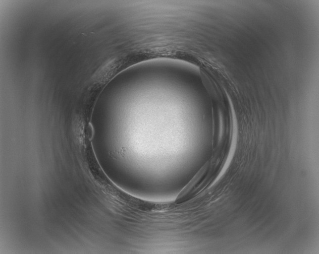X0000056380693200508261200