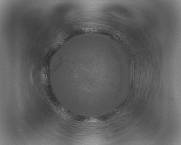 X0000056380695200508261200