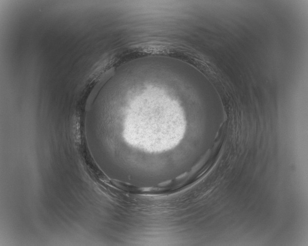 X0000056380696200508261200