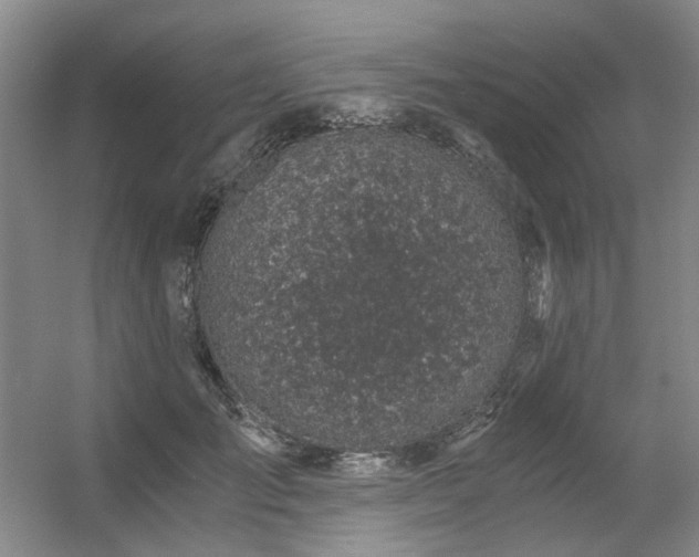 X0000056380701200508261200