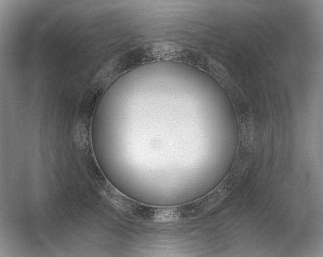 X0000056380705200508261200