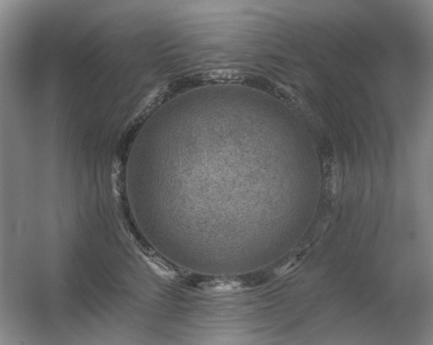 X0000056380712200508261200