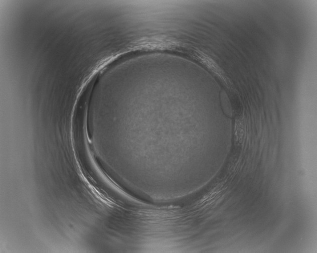 X0000056380722200508261159