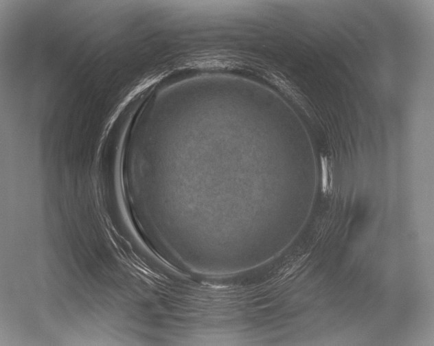 X0000056380723200508261159