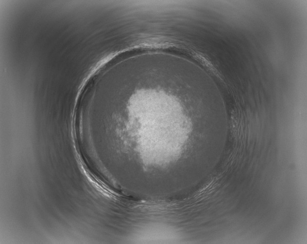 X0000056380726200508261159