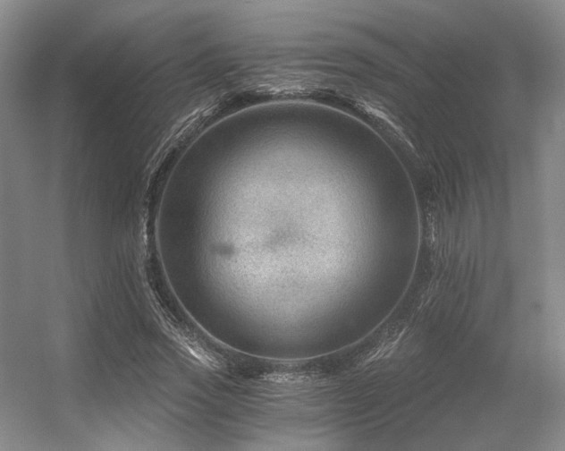 X0000056380733200508261159