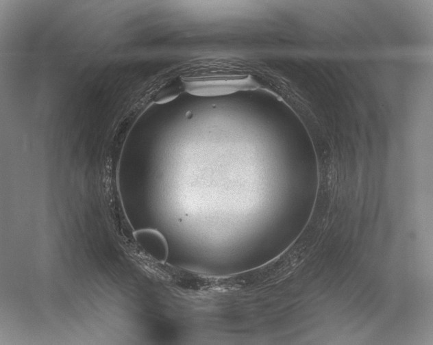 X0000056380737200508261159