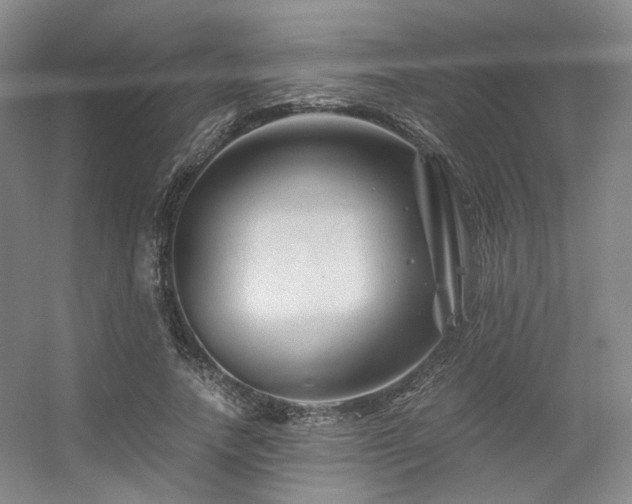 X0000056380738200508261159