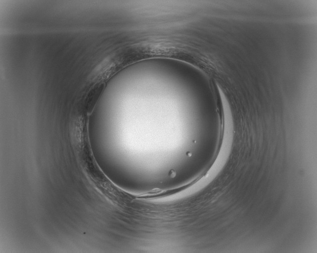 X0000056380744200508261200