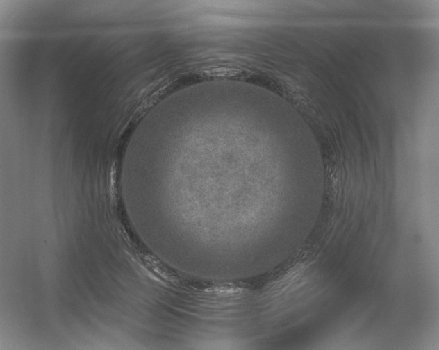 X0000056380745200508261200