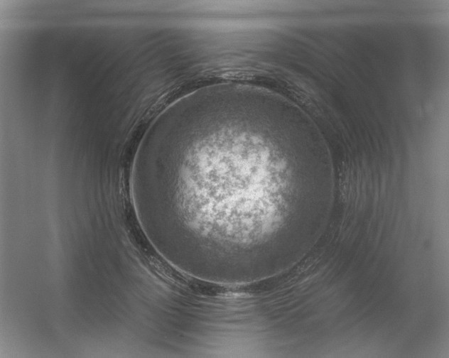 X0000056380748200508261200