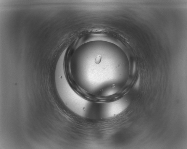 X0000056380750200508261200