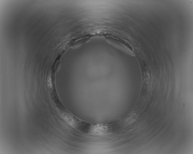 X0000056380754200508261200