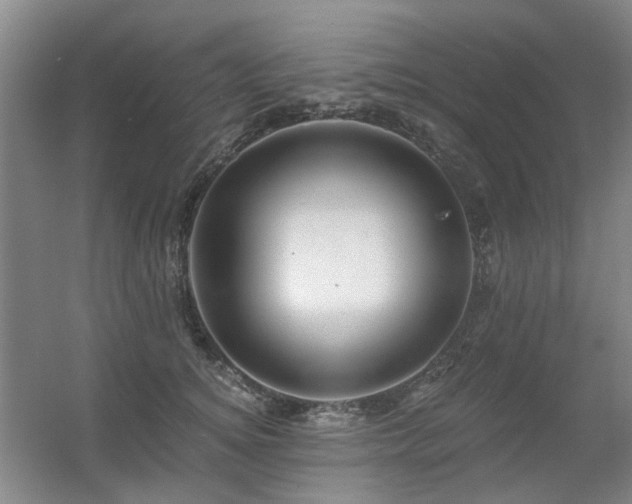 X0000056380756200508261200