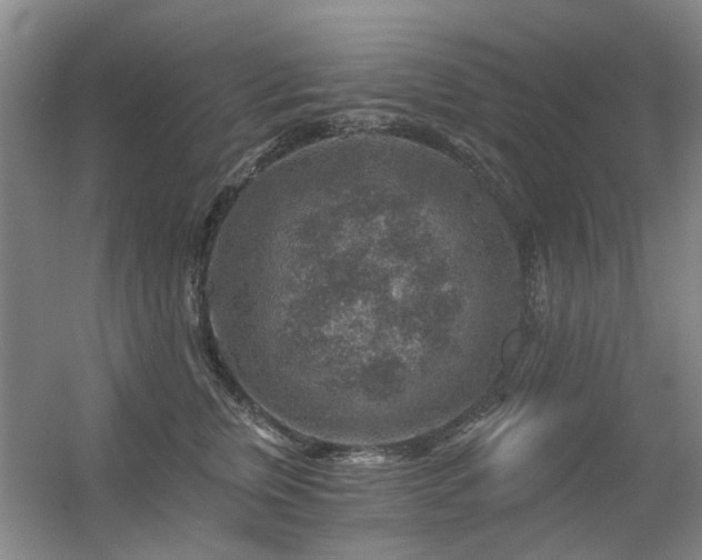 X0000056380759200508261200