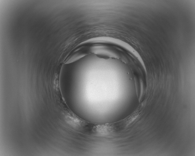 X0000056380766200508261200