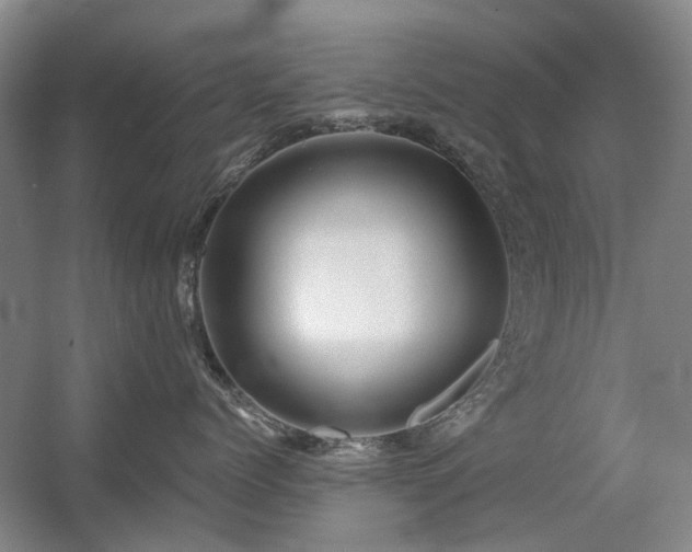 X0000056380768200508261200