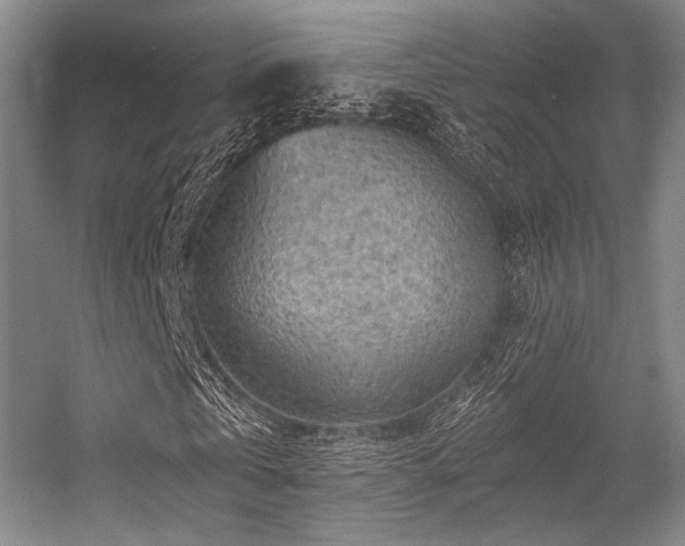 X0000056380769200508261159