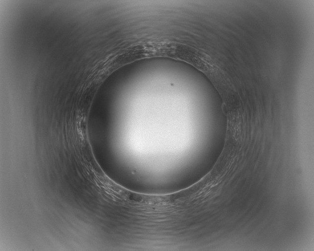 X0000056380770200508261159