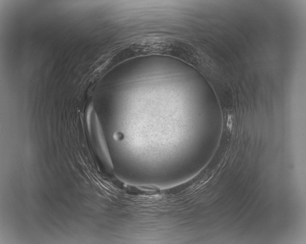 X0000056380771200508261159