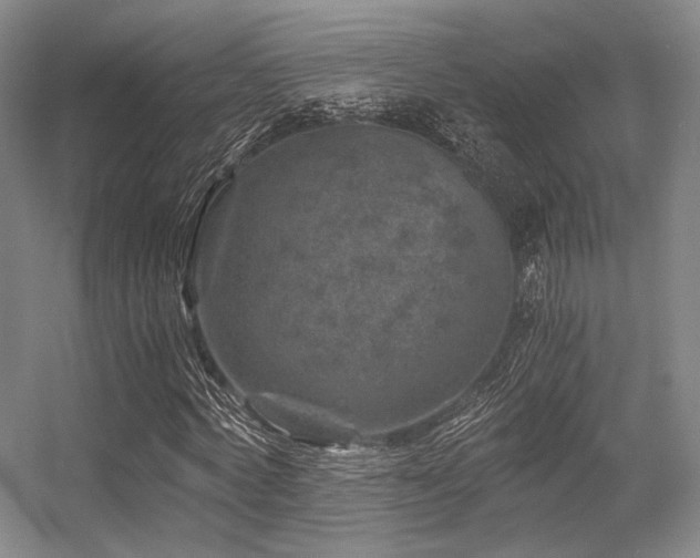 X0000056380772200508261159