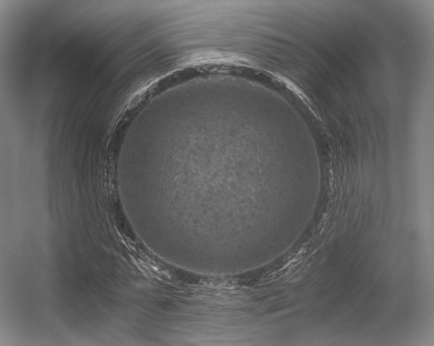 X0000056380775200508261159