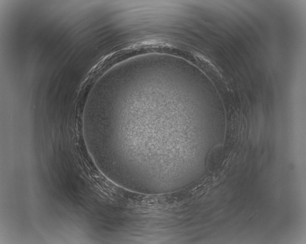 X0000056380776200508261159