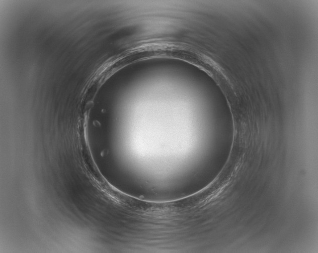 X0000056380778200508261159