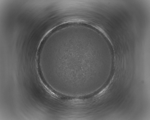 X0000056380783200508261159