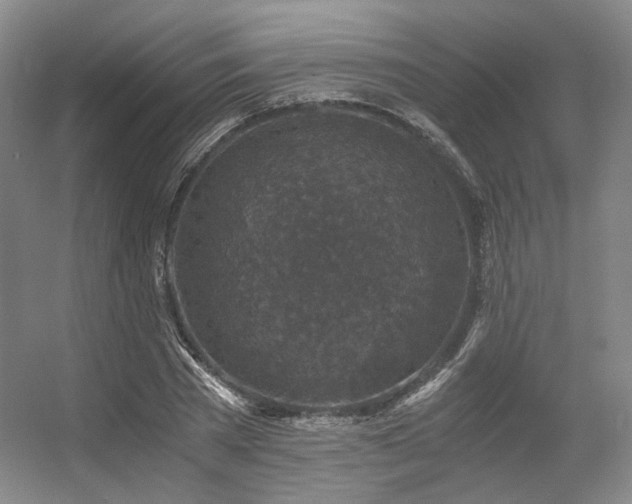 X0000056380785200508261159