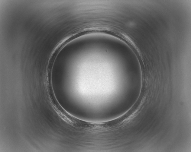X0000056380787200508261159