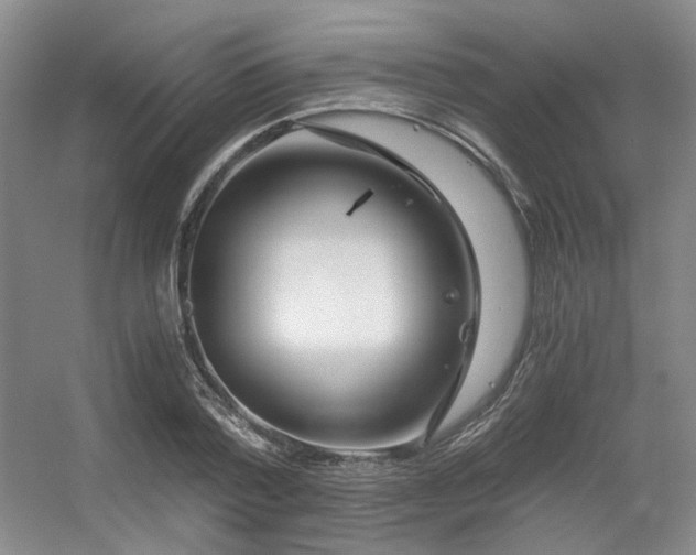 X0000056380788200508261159
