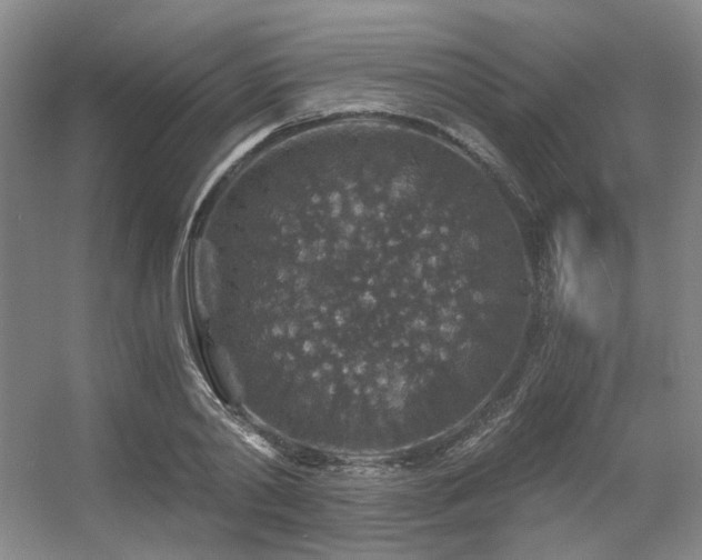 X0000056380790200508261159