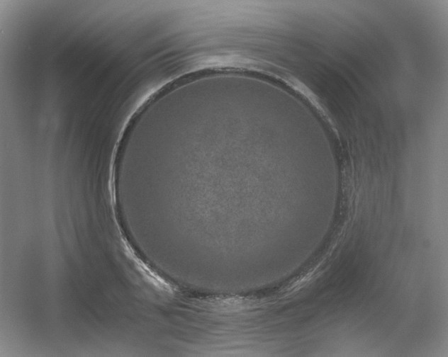 X0000056380791200508261159