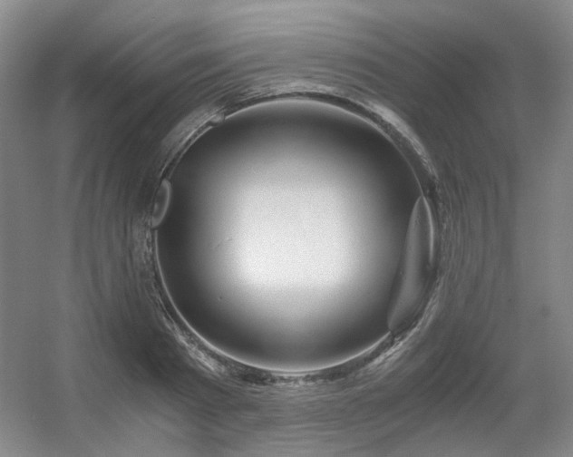 X0000056380793200508261159