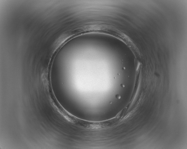 X0000056380794200508261159