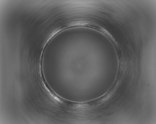 X0000056380802200508261159