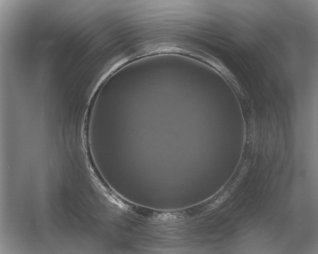 X0000056380806200508261158