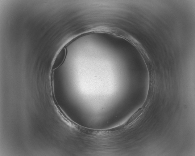 X0000056380808200508261158